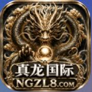 真龙国际